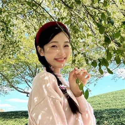 天真派：红楼梦之桃花诗社