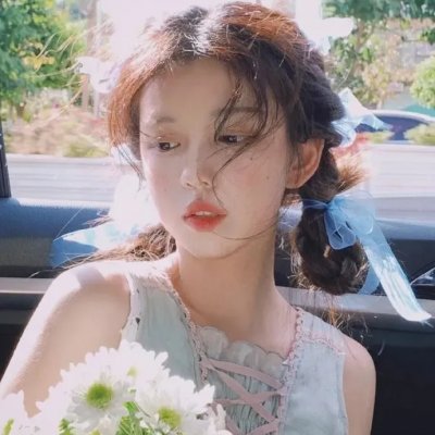 狮子护卫队第一季